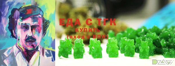 индика Алексин