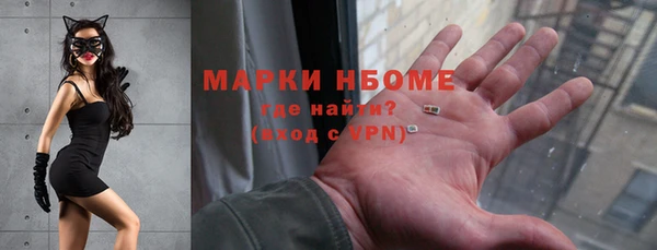 индика Алексин