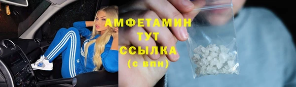 индика Алексин