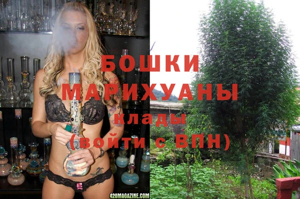 индика Алексин