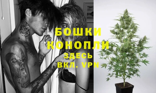 индика Алексин