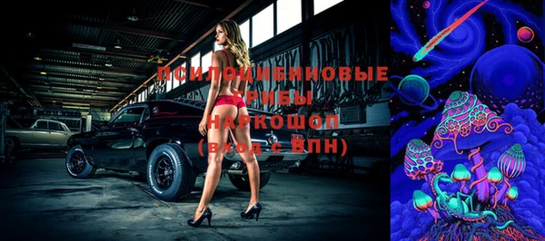 индика Алексин