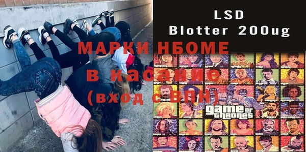 индика Алексин