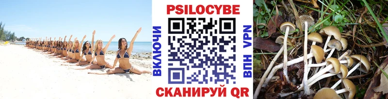 Псилоцибиновые грибы ЛСД  закладки  Томск 